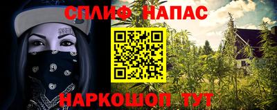прущие грибы Камышлов