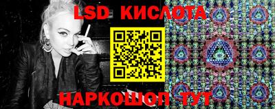 прущие грибы Камышлов