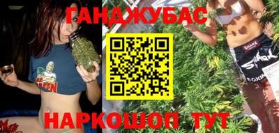 прущие грибы Камышлов