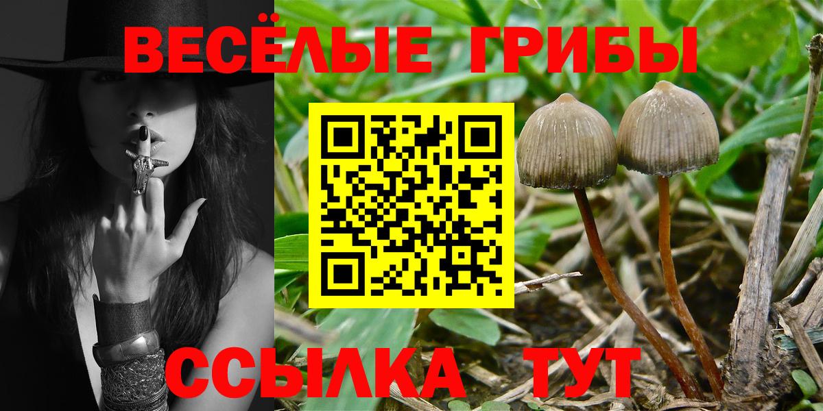 Псилоцибиновые грибы GOLDEN TEACHER  Вход с VPN  Псилоцибиновые грибы прущие грибы  Куйбышев 